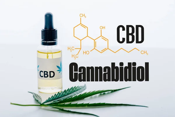 Cbd oil in bottle near green marijuana leaf isolated on white with cbd molecule illustration — Stock Photo