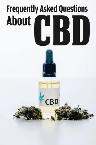 Cbd oil in bottle near medical marihuana knospen isolated on white with frequently asked questions about cbd illustration — Stockfoto