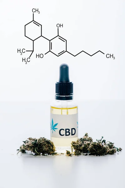 Huile de cbd en bouteille près des bourgeons de marijuana médicale isolés sur blanc avec illustration de molécule de cbd — Photo de stock