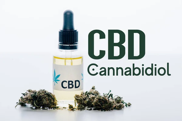 Cbd oil in bottle near medical marijuana buds isolated on white with cbd illustration — Stock Photo