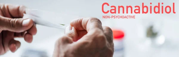 Панорамный снимок человека, скатывающегося тупым с медицинской марихуаной рядом с непсихоактивной иллюстрацией CBD — стоковое фото