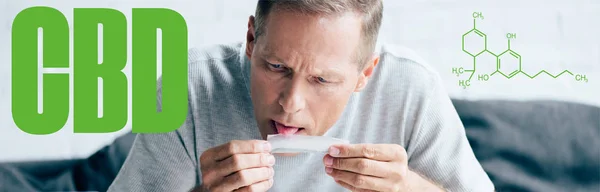 Panoramic shot of handsome man licking paper for blunt with medical cannabis near cbd molecule illustration — Stock Photo