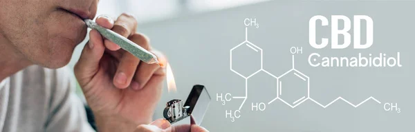 Vista cortada do homem iluminando-se contundente com cannabis medicinal, tiro panorâmico com ilustração molécula cbd — Fotografia de Stock