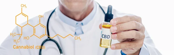 Panoramic shot of doctor in white coat holding cbd oil extract in bottle isolated on white with cbd molecule illustration — Stock Photo