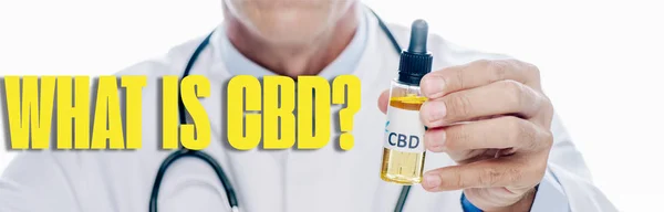 Tiro panorâmico do doutor no revestimento branco que prende o extrato de óleo do cbd na garrafa isolada no branco com o que é a pergunta do CBD — Fotografia de Stock