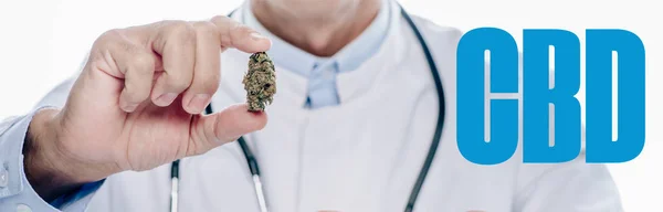 Inyección panorámica de médico de bata blanca sosteniendo brote de marihuana medicinal aislado en blanco con palabra CBD - foto de stock