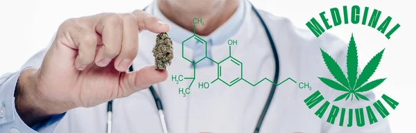 Panoramic shot of doctor in white coat holding medical marijuana bud isolated on white with cbd molecule illustration — Stock Photo