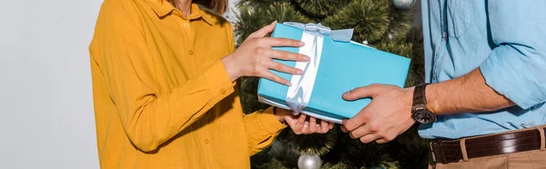 Panoramic shot of man giving present to woman during office celebration — Stock Photo