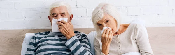 Panoramic shot of ill husband and wife sneezing and holding napkins in apartment — Stock Photo