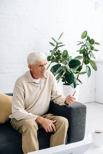 Hombre mayor sentado en el sofá y el uso de teléfono inteligente en el apartamento - foto de stock