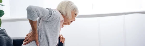 Panoramic shot of senior woman having back pain in apartment — Stock Photo