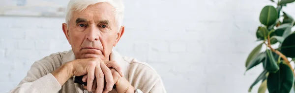 Panoramic shot of senior man looking at camera and holding wooden cane in apartment — Stock Photo