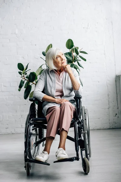 Мрійлива старша жінка сидить у інвалідному візку і дивиться в квартиру — стокове фото