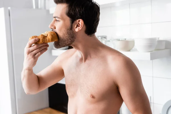 Hombre guapo sin camisa comiendo croissant en la cocina en la mañana - foto de stock