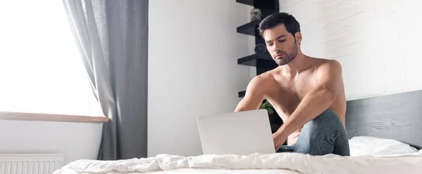 Shirtless male freelancer working on laptop in bed, horizontal crop — Stock Photo