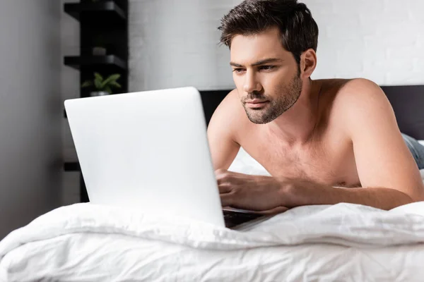Concentrated shirtless male freelancer working on laptop in bed — Stock Photo