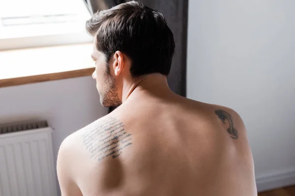 Vue arrière de sexy homme tatoué torse nu assis à la maison — Photo de stock