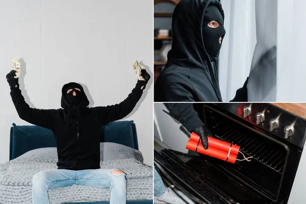 Collage of burglar in balaclava holding money on bed, standing near curtains and putting dynamite in oven — Stock Photo