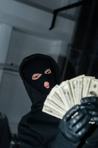 Low angle view of robber in balaclava holding dollar banknotes — Stock Photo