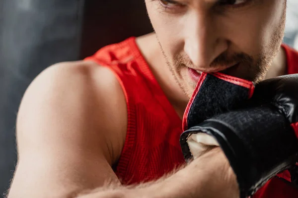 Close up of sportsman in sportswear biting boxing glove in gym — Stock Photo