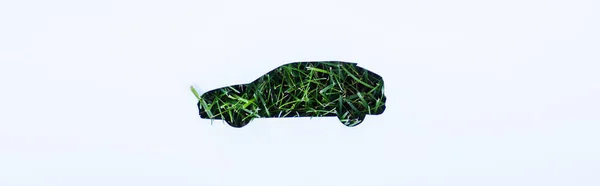 Panoramic shot of grass in car symbol on white background, ecology concept — Stock Photo