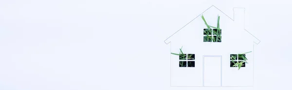 Panoramic shot of drawn house with green grass on white background, ecology concept — Stock Photo