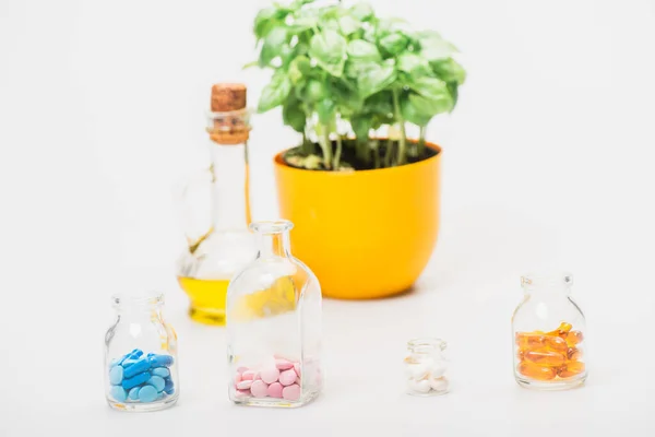 Selektiver Fokus der grünen Pflanze im Blumentopf in der Nähe von Pillen in Glasflaschen und ätherischem Öl auf weißem Hintergrund, Naturheilverfahren-Konzept — Stockfoto