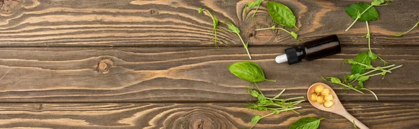 Vue du dessus des pilules dans la cuillère, herbes vertes et bouteille sur la surface en bois, concept de naturopathie — Photo de stock