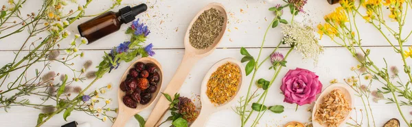 Panoramic shot of herbs in spoons near flowers and bottle on white wooden background, naturopathy concept — Stock Photo