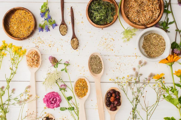 Top view of herbs in spoons and bowls near flowers on white wooden background, naturopathy concept — Stock Photo