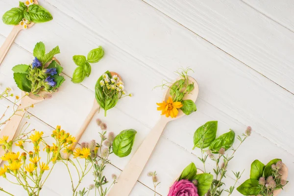 Vista dall'alto di erbe e foglie verdi in cucchiai vicino a fiori su sfondo di legno bianco, concetto di naturopatia — Foto stock