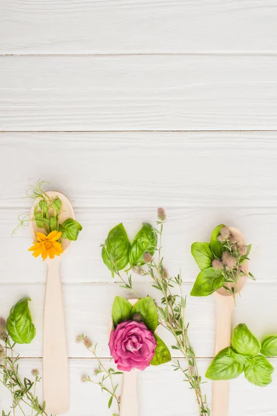 Vue de dessus des herbes et des feuilles vertes dans les cuillères près des fleurs sur fond blanc en bois, concept de naturopathie — Photo de stock