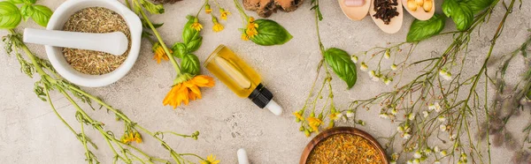 Panoramic shot of herbs, green leaves, mortar with pestle on concrete background, naturopathy concept — Stock Photo