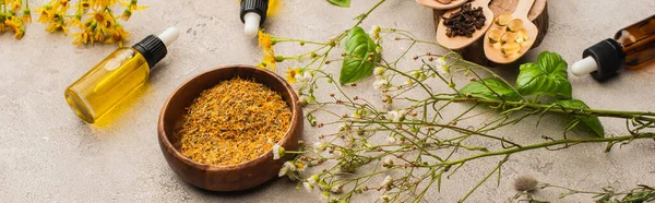 Vista superior de la hierba, hojas verdes, raíz de jengibre y pastillas en cuchara de madera sobre fondo de hormigón, concepto de naturopatía - foto de stock