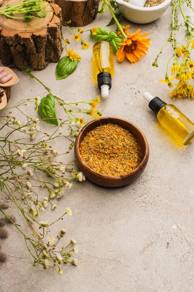 Wildflowers, herbs, bottles on concrete background, naturopathy concept — Stock Photo