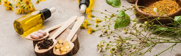 Plano panorámico de flores silvestres, hierbas, botellas y pastillas en cucharas sobre fondo de hormigón, naturopatía concepto - foto de stock