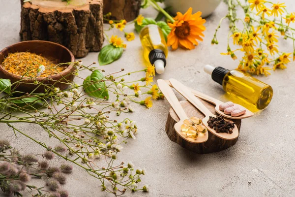 Selective focus of wildflowers, herbs, bottles and pills in wooden spoons on concrete background, naturopathy concept — Stock Photo