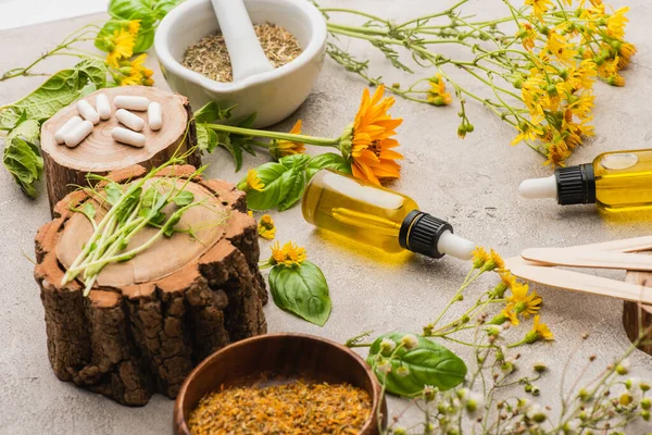 Fleurs sauvages, herbes, bouteilles et pilules sur fond de béton, concept de naturopathie — Photo de stock