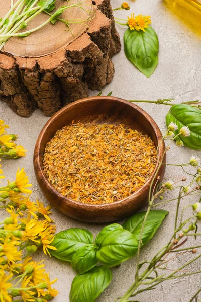 Tigela com ervas, flores silvestres, folhas verdes no fundo de concreto, conceito de naturopatia — Fotografia de Stock