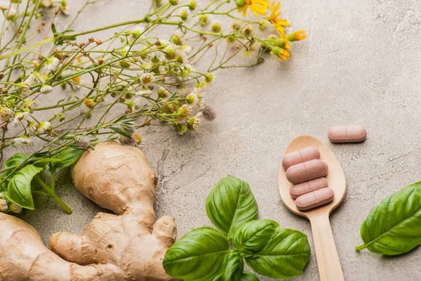 Erva, folhas verdes, raiz de gengibre e pílulas em colher de madeira no fundo de concreto, conceito de naturopatia — Fotografia de Stock