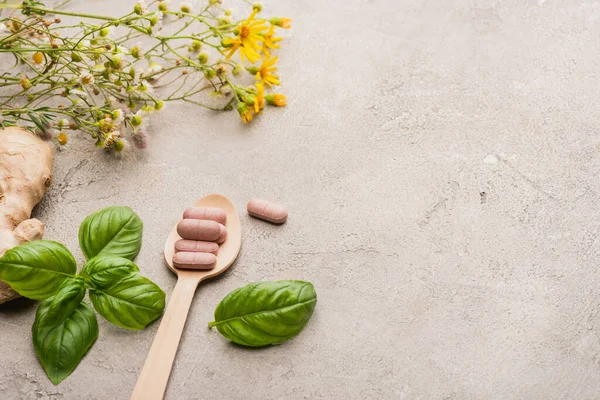 Erba, foglie verdi, radice di zenzero e pillole in cucchiaio di legno su sfondo concreto, concetto di naturopatia — Foto stock