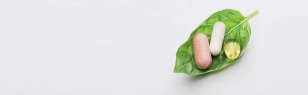 Panoramic shot of pills on green leaf on white background, naturopathy concept — Stock Photo