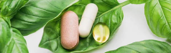 Panoramic shot of pills and green leaves on white background, naturopathy concept — Stock Photo