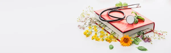 Panoramic shot of herbs in book with stethoscope on white background, naturopathy concept — Stock Photo