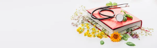 Plan panoramique d'herbes dans un livre avec stéthoscope sur fond blanc, concept de naturopathie — Photo de stock