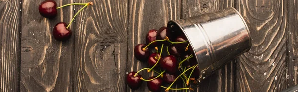 Top view of ripe sweet cherries scatted from metal bucket on wooden surface, panoramic shot — Stock Photo