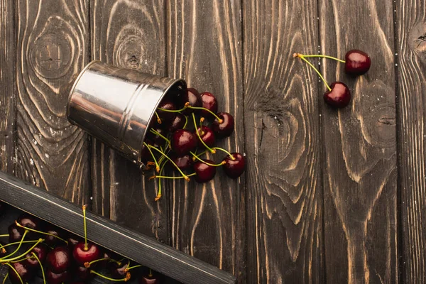 Vista superior de cerejas doces maduras espalhadas do balde de metal na superfície de madeira — Fotografia de Stock