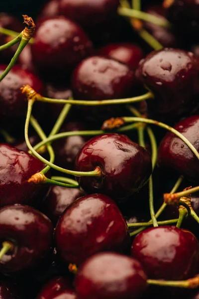 Close up view of wet ripe sweet cherries — Stock Photo