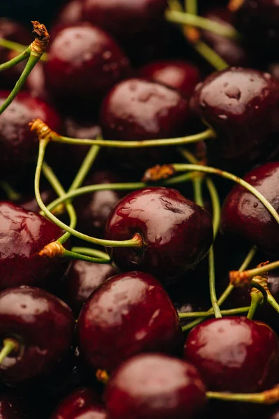 Vue rapprochée des cerises douces mûres humides — Photo de stock