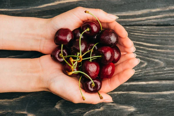 Cropped view of woman holding ripe sweet cherries on wooden surface — Stock Photo